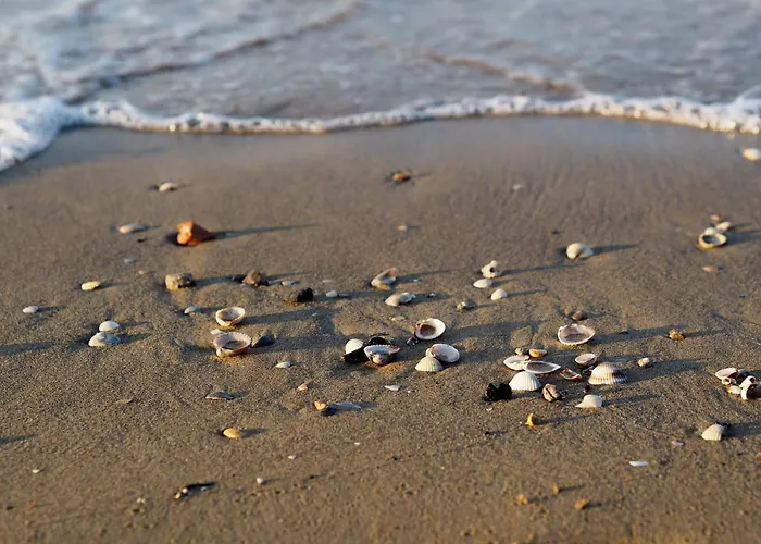 Family-friendly Flat Just 50mt From The * Bibione